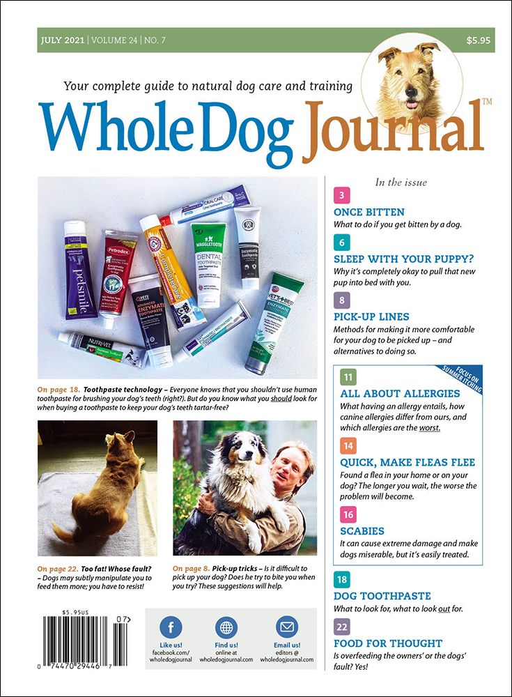 Download The Full July 2021 Issue PDF Whole Dog Journal