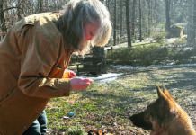 positive reinforcement dog training