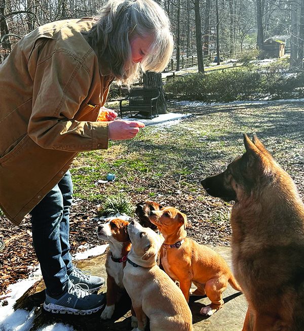 positive reinforcement dog training