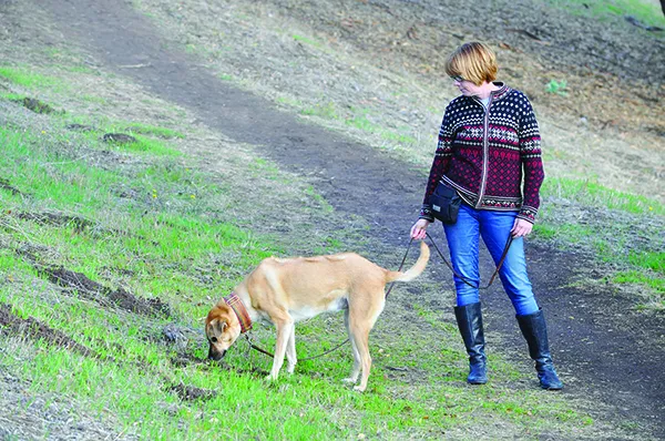 dog walking