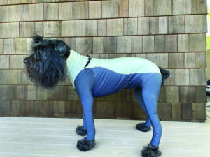 Suitical Recovery Suit for Dogs  Spay and Neutering Dog Surgery