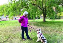 leash pressure dog training