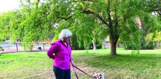 leash pressure dog training