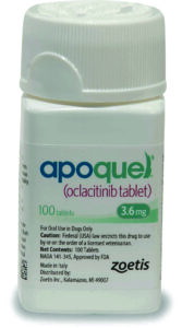 apoquel dog allergy medicine