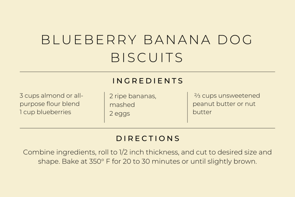 blueberry banana dog biscuit recipe