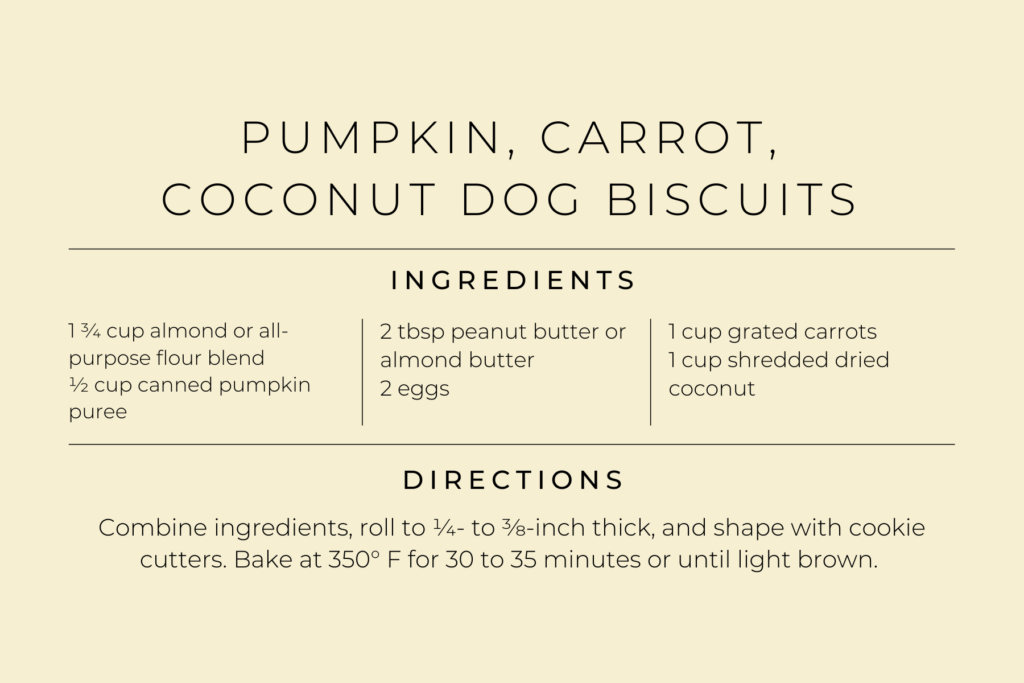 Pumpkin, Carrot, Coconut Dog Biscuit recipe