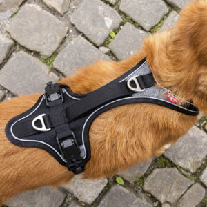 back detail of belka harness