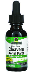 cleavers for dogs lymphatic system
