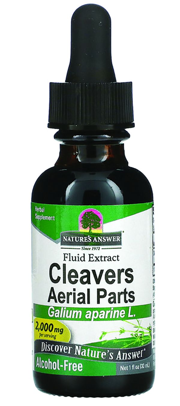 Lymphatic System in Dogs How to Improve Lymph Circulation