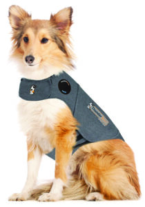 thundershirt for dogs with anxiety to noise