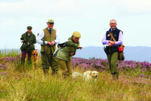 force free gun dog training