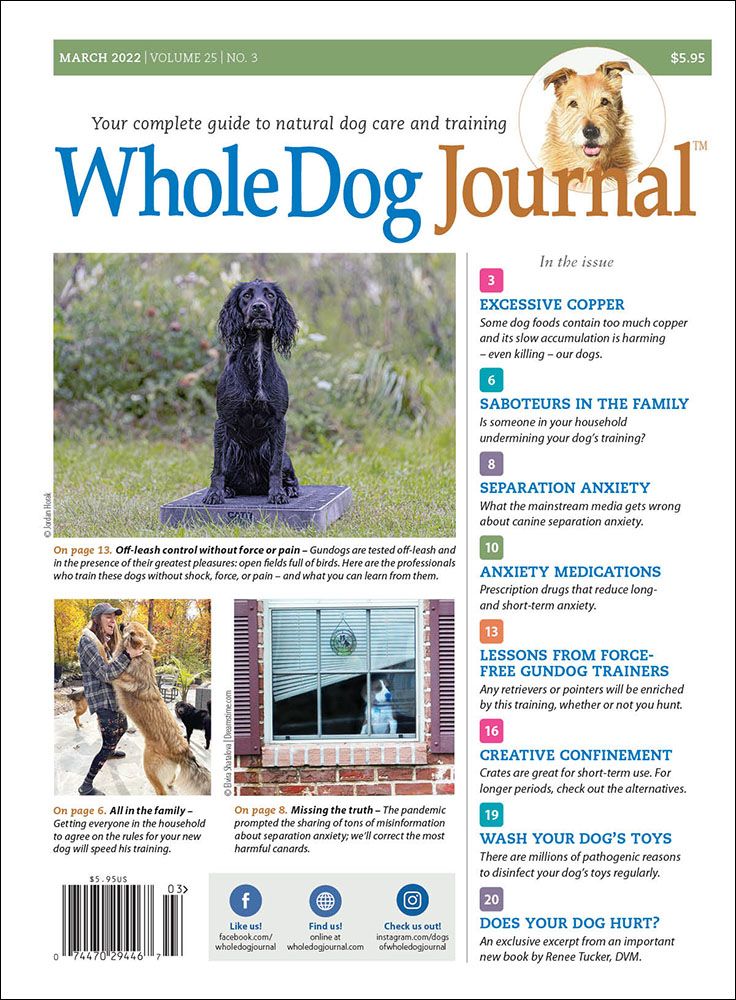 Download The Full March 2022 Issue PDF Whole Dog Journal