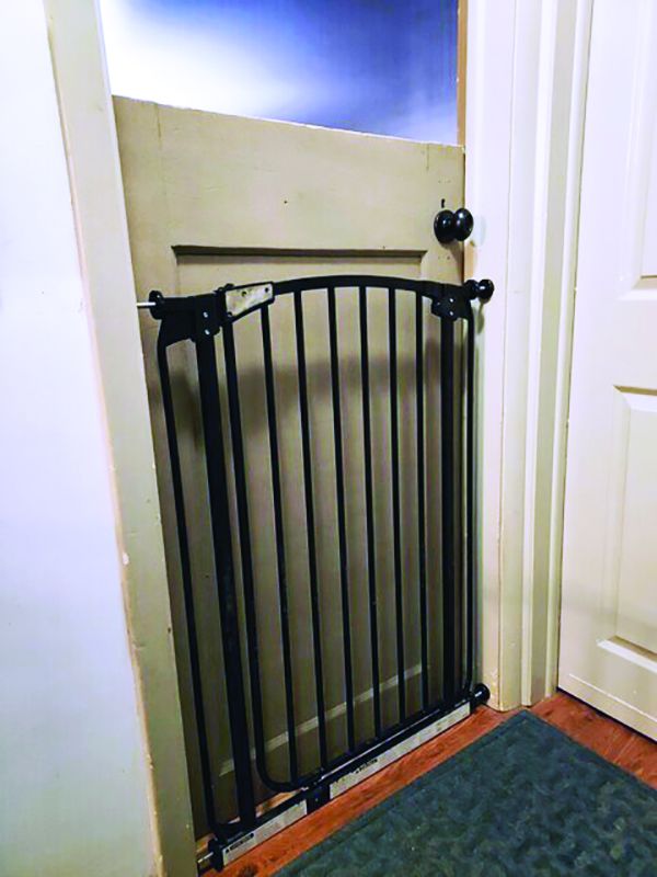 Dog Crate Alternatives Indoor Dogs Gates, Tethers, and More