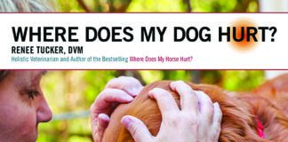 where does my dog hurt book cover