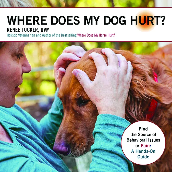 doghurtbook where does my dog hurt book cover
