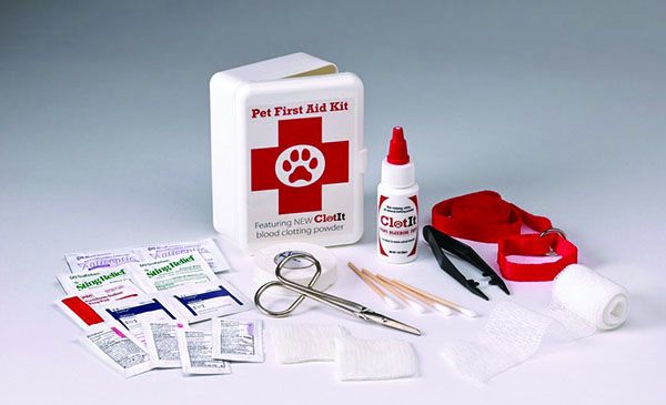 Dog First Aid Kit | Build a DIY Dog First Aid Kit