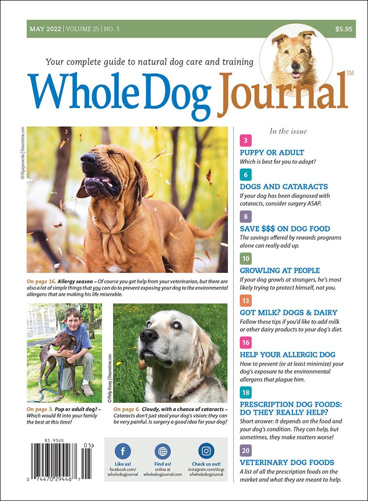 The whole shop dog journal