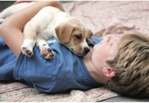 child with puppy