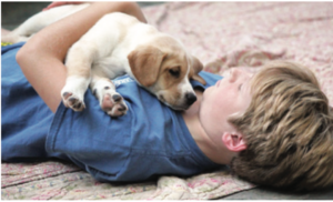 child with puppy