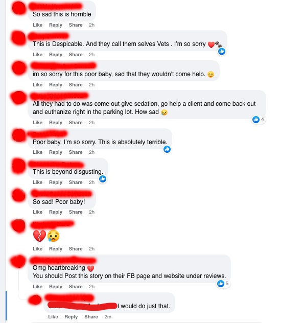 comments on facebook post