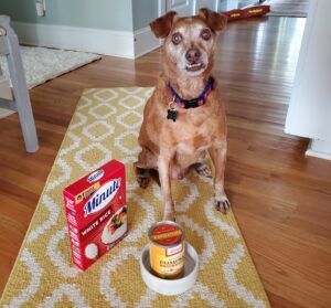 Will pumpkin help my dog's diarrhea sale