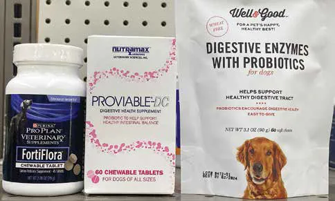 probiotics for dogs
