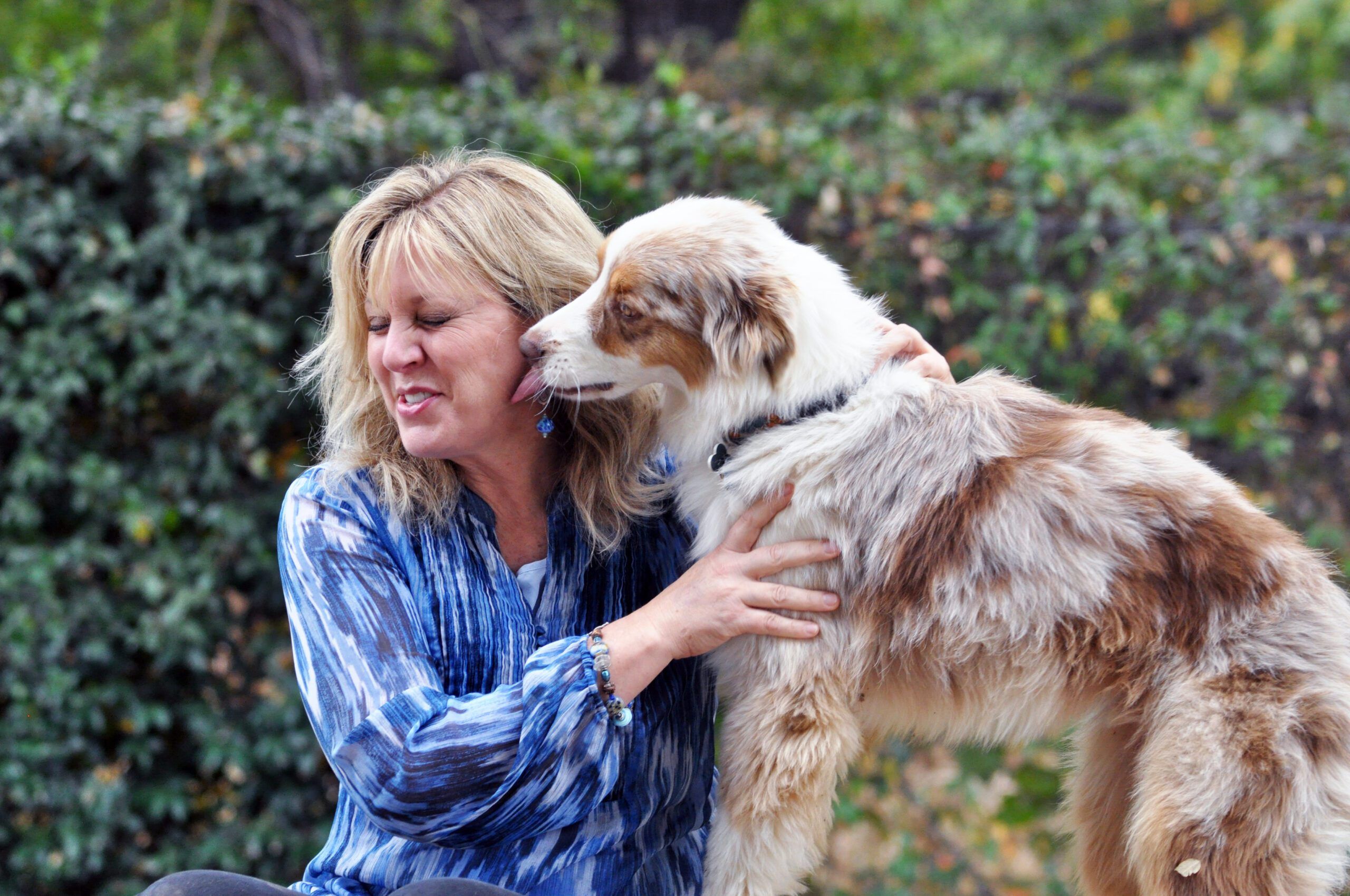 Why Your Dog Licks You – And How to Stop It - Whole Dog Journal