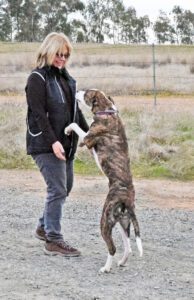 dog jumping up to kiss