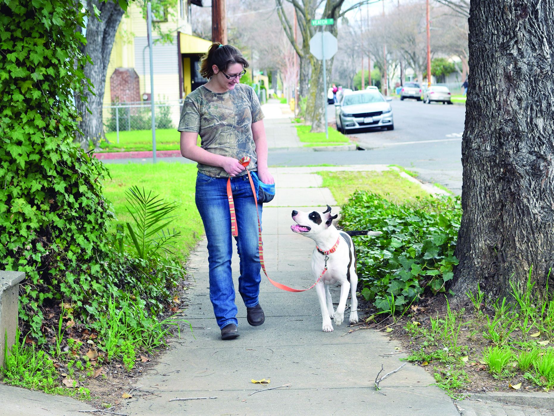 Crate Training To Keep Your Dog Content - Whole Dog Journal