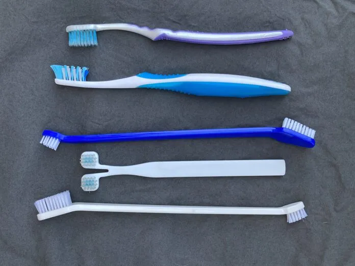toothbrushes (1) toothbrushes for dogs