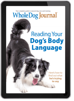 Reading Your Dog's Body Language