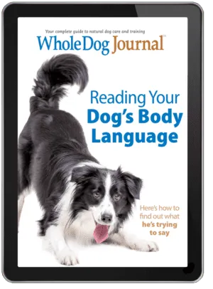 Reading Your Dog's Body Language