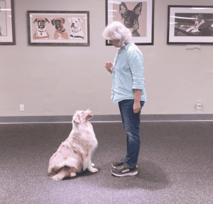 Training a dog to stay while holding a treat