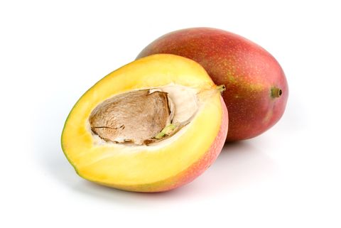 Can Dogs Eat Mango Whole Dog Journal
