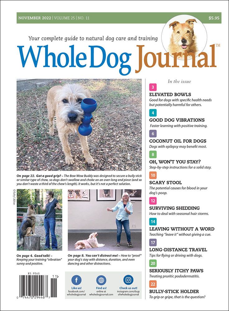 Download The Full November 2022 Issue PDF Whole Dog Journal