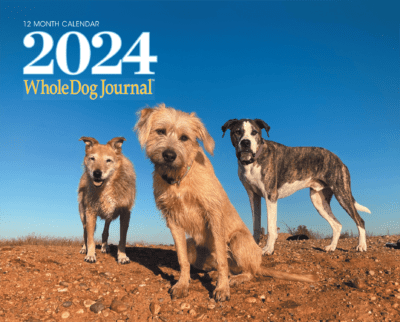 2024 Calendar from Whole Dog Journal