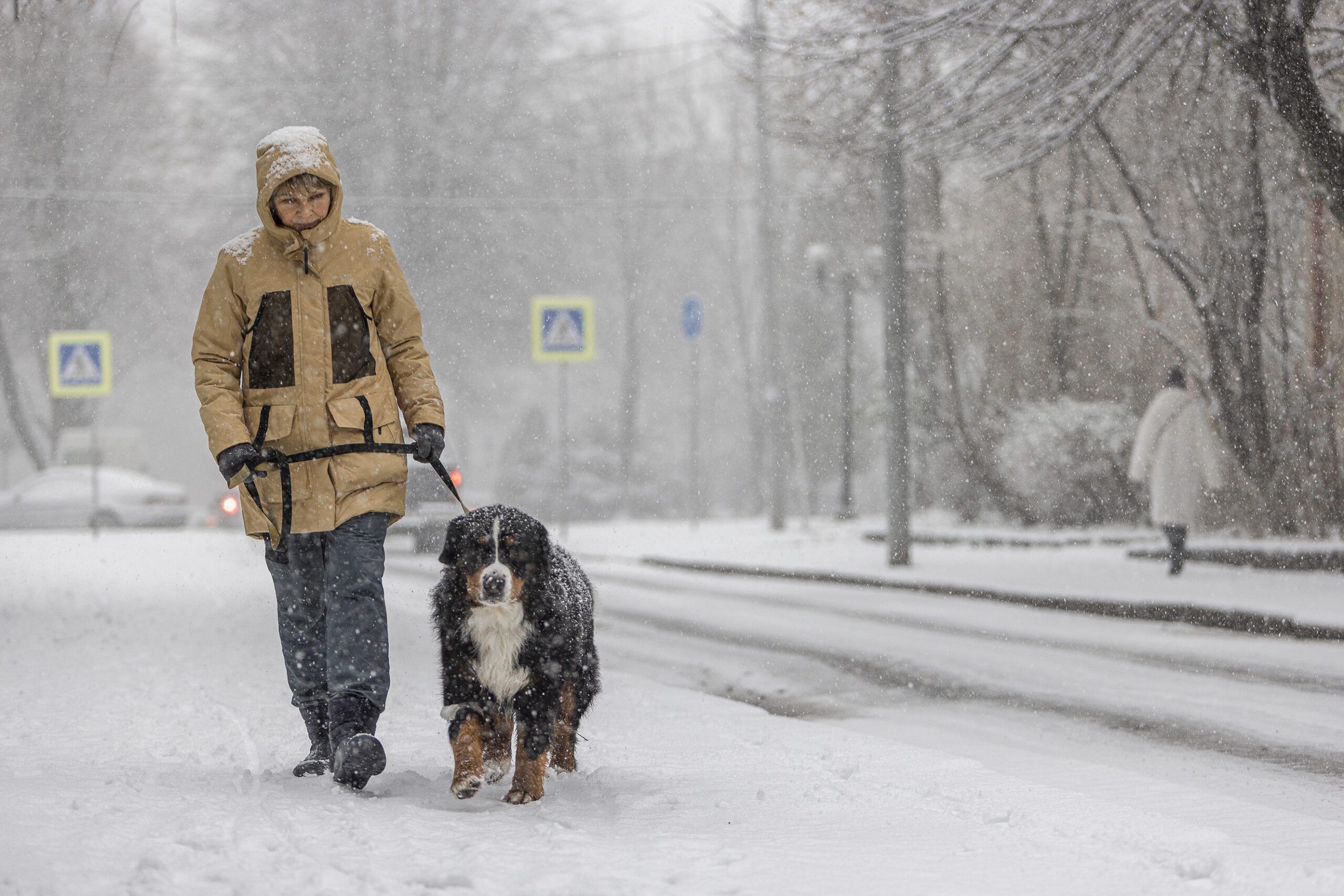 How to Clean Rock Salt Off of Your Home's Floors in Winter