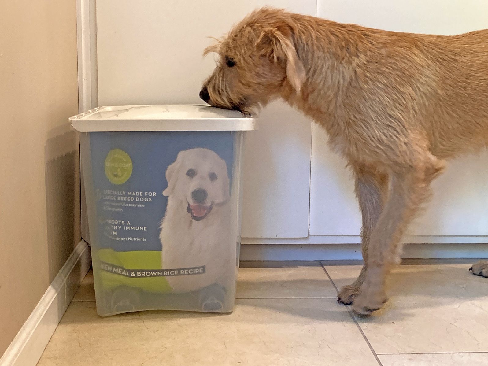 Moisture-proof Pet Food Container - Pet Clever