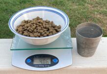 measuring dog food with scale