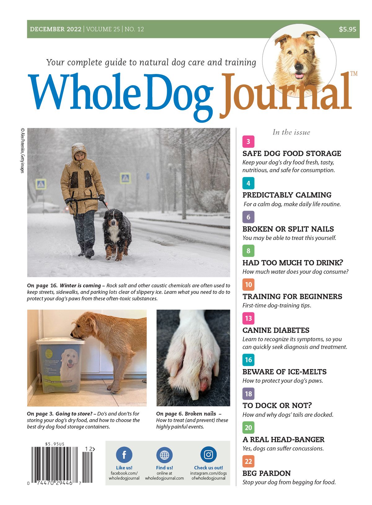 Do I Need a Dog Feeding Schedule? - Whole Dog Journal