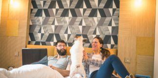 Man working on laptop in the bed, girlfriend is cuddling with their dog