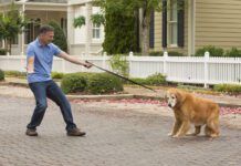 dog refusing to go with human, balking on leash