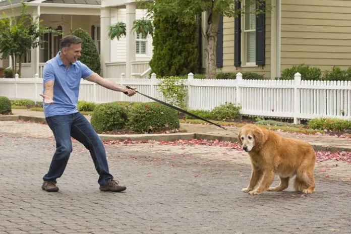 Dog is afraid to leave home dog refusing to go with human, balking on leash