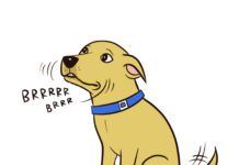 dog chattering graphic