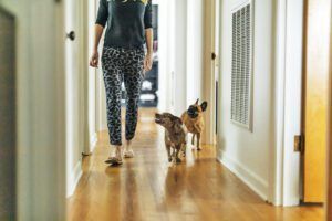 Woman and dogs walking in hallway at home
