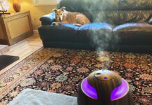 dog and essential oil diffuser