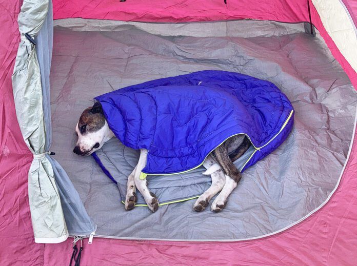 dog in highlands dog sleeping bag
