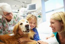 Young girl in hospital hugging therapy dog