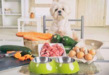 Preparing natural food for pets