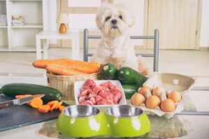 Preparing natural food for pets